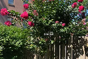 10 Llanfair Rd, Ardmore, PA 19003 - Photo 16