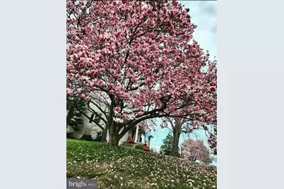 817 Buchert Road, Pottstown, PA 19464 - Photo 52