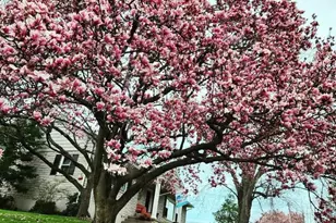 817 Buchert Rd, Pottstown, PA 19464 - Photo 52