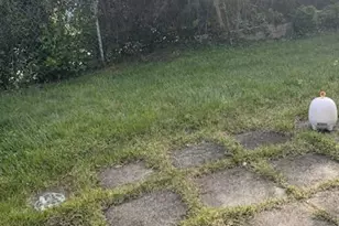 608 Natalie Ln, Norristown, PA 19401 - Photo 34