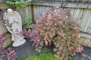 636 Upland St, Pottstown, PA 19464 - Photo 38