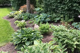 412 Rices Mill Rd, Wyncote, PA 19095 - Photo 46