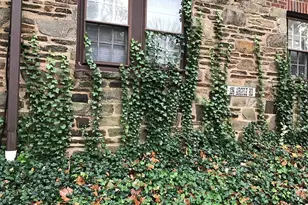 126 Argyle Rd, Ardmore, PA 19003 - Photo 2