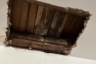 331 W Fornance St, Norristown, PA 19401 - Photo 32