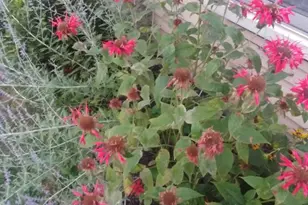 11 Oakplace Ct W, Harleysville, PA 19438 - Photo 6