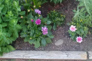 11 Oakplace Ct W, Harleysville, PA 19438 - Photo 36