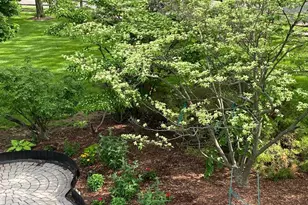 2301 Warner Rd, Lansdale, PA 19446 - Photo 50