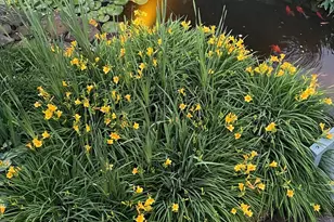 2301 Warner Rd, Lansdale, PA 19446 - Photo 46