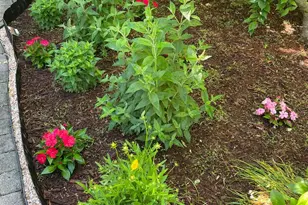 2301 Warner Rd, Lansdale, PA 19446 - Photo 52