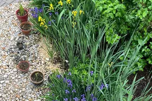 2301 Warner Rd, Lansdale, PA 19446 - Photo 44