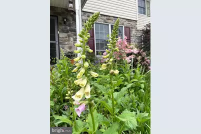 3083 Main Street, Green Lane, PA 18054 - Photo 26