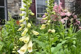 3083 Main St., Green Lane, PA 18054 - Photo 26