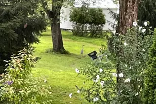 3083 Main St., Green Lane, PA 18054 - Photo 28