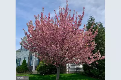 362 Meadow Lane, Telford, PA 18969 - Photo 50