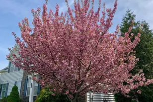 362 Meadow Ln, Telford, PA 18969 - Photo 50