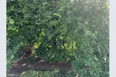 415 Ellison, North Wales, PA 19454 - Photo 34