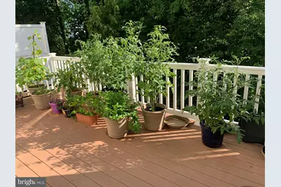 415 Ellison, North Wales, PA 19454 - Photo 32