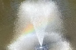 556 Carson Terrace, Huntingdon Valley, PA 19006 - Photo 40