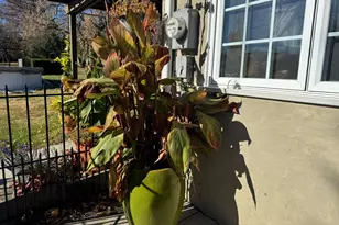 713 Bethlehem Pike, Glenside, PA 19038 - Photo 48