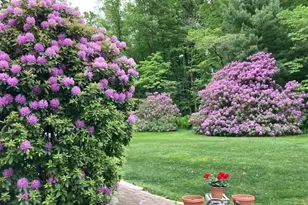 1092 Palm Hill Rd, Palm, PA 18070 - Photo 46