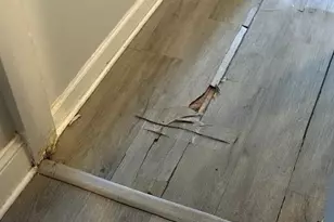 10 W 4th St, Pottstown, PA 19464 - Photo 20