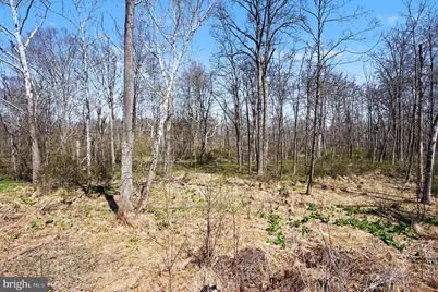 141 Papermill Road, Barto, PA 19504 - Photo 40