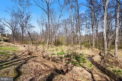 141 Papermill Road, Barto, PA 19504 - Photo 42