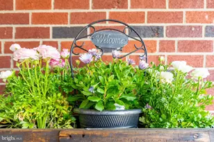 709 Alene Rd, Ambler, PA 19002 - Photo 42