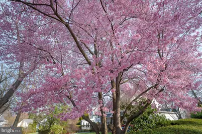 256 Hathaway Lane, Wynnewood, PA 19096 - Photo 54
