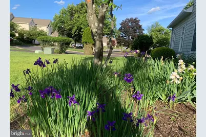 135 Birkdale Drive, Blue Bell, PA 19422 - Photo 38