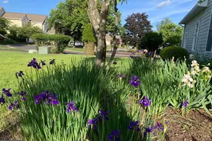 135 Birkdale Dr, Blue Bell, PA 19422 - Photo 38