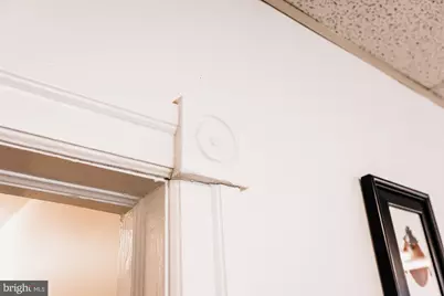 711 West Avenue, Jenkintown, PA 19046 - Photo 46