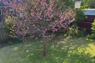 971 Park Dr, Pottstown, PA 19464 - Photo 38