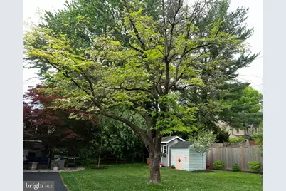 722 Argyle Road, Wynnewood, PA 19096 - Photo 14
