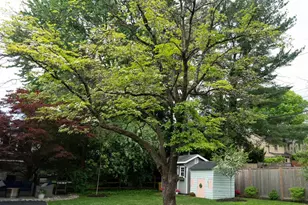 722 Argyle Rd, Wynnewood, PA 19096 - Photo 14