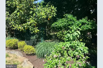 7941 Park Avenue, Elkins Park, PA 19027 - Photo 62