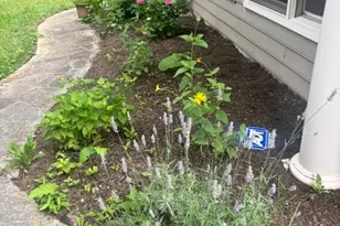 471 Athens Ave, Wynnewood, PA 19096 - Photo 6
