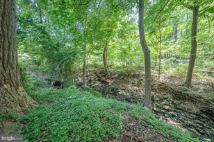 1551 Washington Ln, Jenkintown, PA 19046 - Photo 56