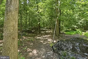 1125 Payne Rd, Green Lane, PA 18054 - Photo 42