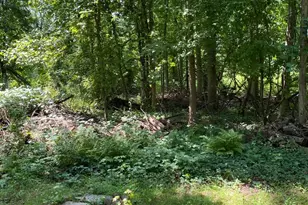 917 Limekiln Pike, Ambler, PA 19002 - Photo 10