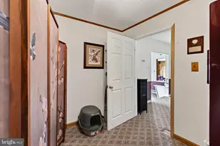 839 Hollow Rd, Phoenixville, PA 19460 - Photo 38