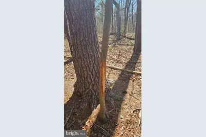 Old US Highway 322 #LOT 4, Milroy, PA 17063 - Photo 16