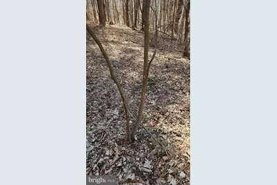 Old US Highway 322 #LOT 3, Milroy, PA 17063 - Photo 18