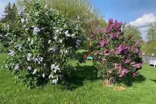 5990 US Hwy 522 S, McVeytown, PA 17051 - Photo 74