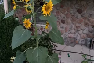 5990 US Hwy 522 S, McVeytown, PA 17051 - Photo 80