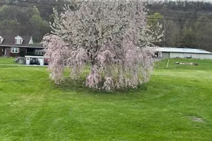 5990 US Hwy 522 S, McVeytown, PA 17051 - Photo 82