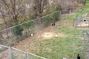 5990 US Hwy 522 S, McVeytown, PA 17051 - Photo 68