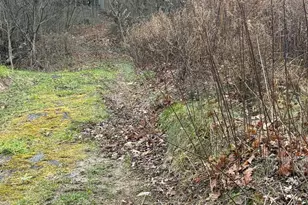 144 Hawsbrick St Lot 51, Lewistown, PA 17044 - Photo 18