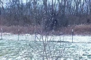 122 Loop Rd, Lewistown, PA 17044 - Photo 40