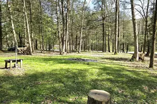 10 Rocky Top Ln, Milroy, PA 17063 - Photo 52